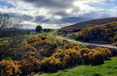 Highland Glen Lodges - Foto 30