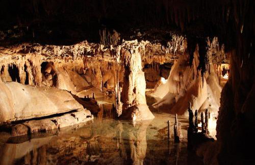 Luxury Austin Stay Near St Davids Pool and Gym - Foto 52