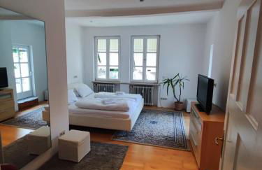 Altbau-Traum mit Riesen-Dachterrasse - Foto 1