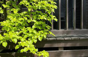 Kaszubski Zakątek Niesiołowice - Foto 6