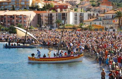 Charmant séjour au cœur des vignes de Banyuls - Foto 65