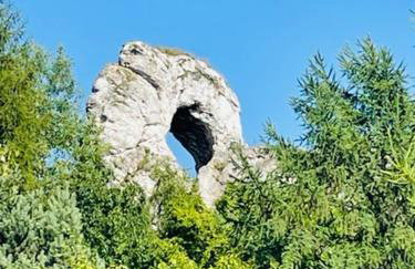 Okno na Jurę - Foto 44