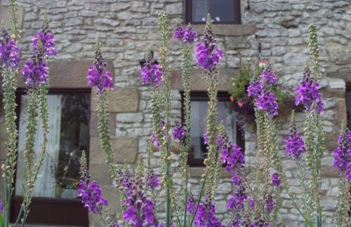 Old Coach House - Foto 19