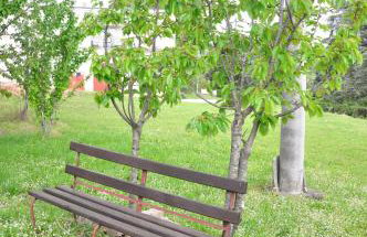 Spacious apartment QuAdria near Motovun - Foto 43