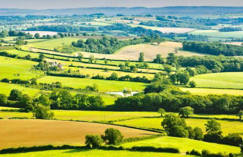 Seymour House - Photo 45