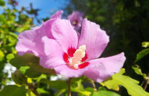 Lieblingshaus mit beheizten Privatpool und Ladesäule - Foto 33
