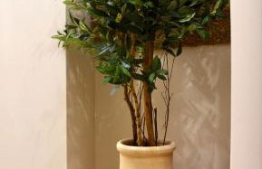 Vigneti Villas & Apartments II - Foto 10