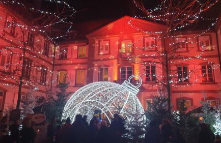 Meublés du 25 N3 Studio 1er Etage - Foto 35