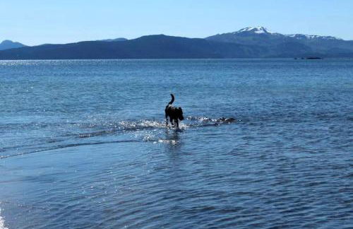 Rustic Cabin Rental for a Secluded Escape to Whale Island, Alaska - Foto 19