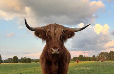 Farma Puchałowo - Foto 23