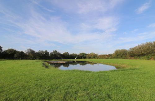 Dragonfly Shepherd's Hut - Photo 28