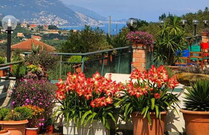 Agriturismo Monte Acuto - natura, mare & relax in piscina - Foto 5