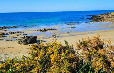 Gîte Les mouettes qui caquètent - Foto 20