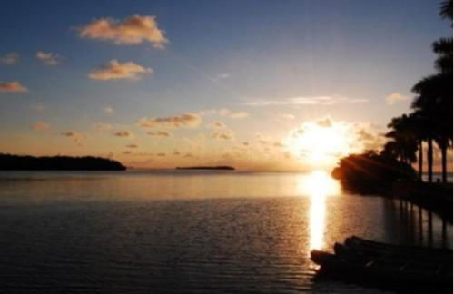 My Garden in Miami Florida - Photo 25