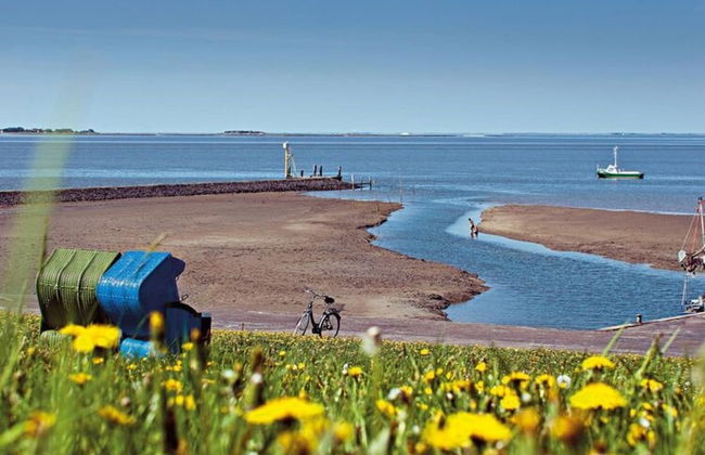 Ferienwohnung im Reetdachhaus auf der Pellworm - Foto 17
