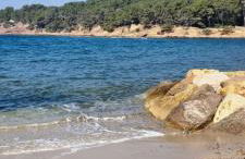 Saint Mandrier Pin Rolland Studio Climatisé 2 pers parking plage pinède, tout à pied - Foto 2