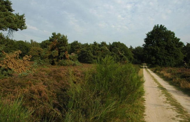 Detached Combined Bungalow with Garden near Veluwe - Photo 42