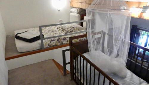 Les Mimosas - Foto 4