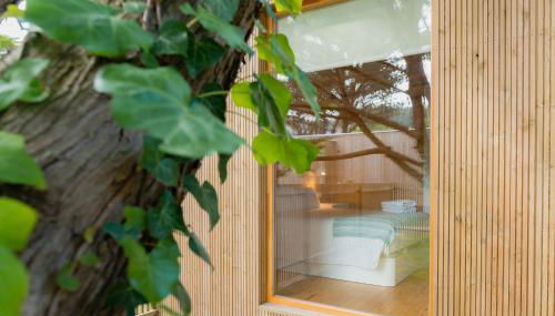 Cabanas Narea - Foto 5