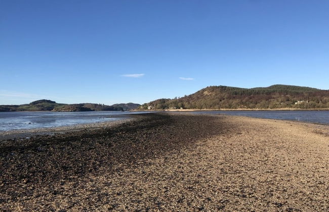 Clouded Yellow - Beautiful Modern Lodge, Kippford - Photo 36