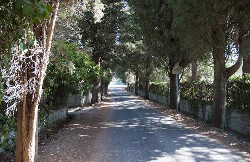 Il Maestro e l'Innamorata - Foto 34