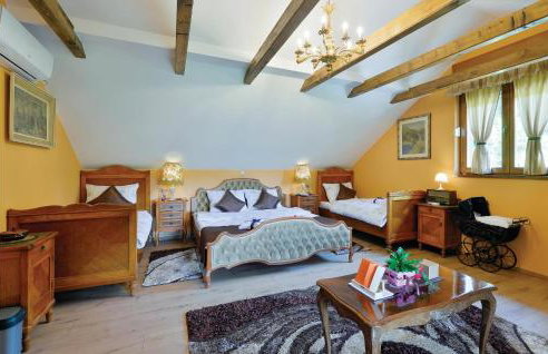 Amazing Home In Vinica With Sauna - Foto 5