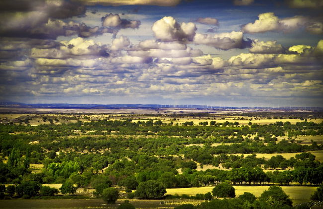 Posada Real del Buen Camino - Foto 44