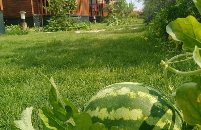 Riviera Bungalow Evleri Demre - Photo 69