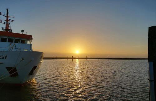 Friesenrose Süd - Foto 16