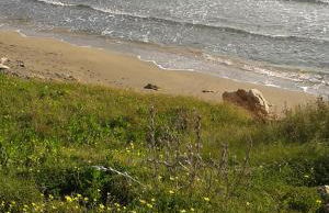 Doria Apartment - Foto 40