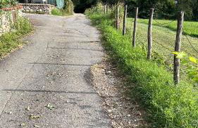 Agriturismo La Betulla - Photo 23