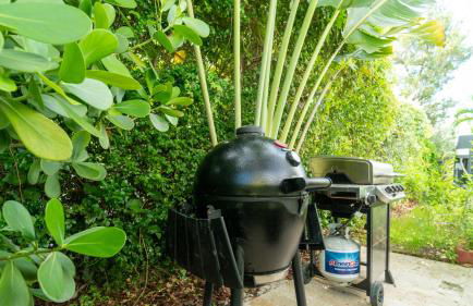 Villa Viscayne - Miami Modern Luxury with Pool & Spa - Foto 9