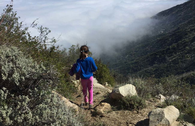 Senderismo por el Parque Nacional La Campana - Foto 5