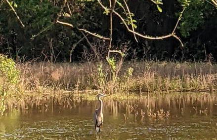 Pondside Perch - Your Waterfront Retreat home - Foto 55