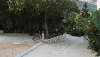 Toni i Kristina - Foto 5, Garden