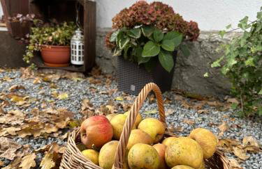 Dom Pod Dębem Agroturystyka - Foto 25