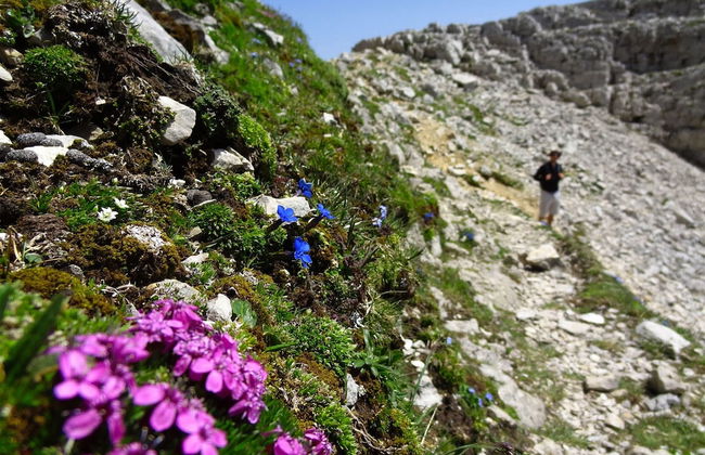 Balmy Apartment in Bohinjsko Jezero near Lake - Foto 16
