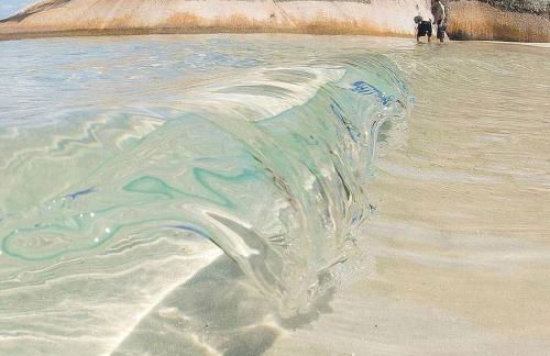 Lindo Studio no OKA Floripa - Campeche - SOK218 - Foto 60