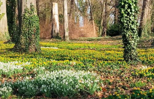 Ferien- und Monteurswohnung Köthen/Reinsdorf - Foto 12