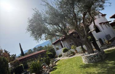 House with lake and water lilies - Foto 7