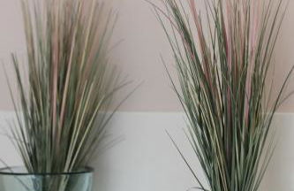 Bungalow Gartenzauber - Foto 10