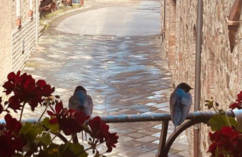 Casa Da Cicia - Foto 17