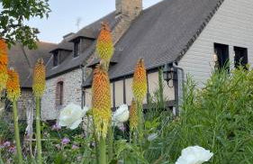Sunset Family Guesthouse Mont Saint Michel - Foto 21