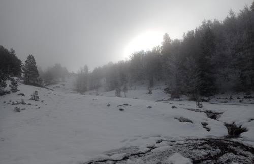 Apartamento Albareda - Foto 20