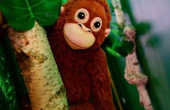 La suite Oasis - Foto 7