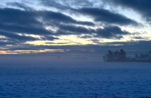 Ferienhaus am Saaler Bodden - Foto 19