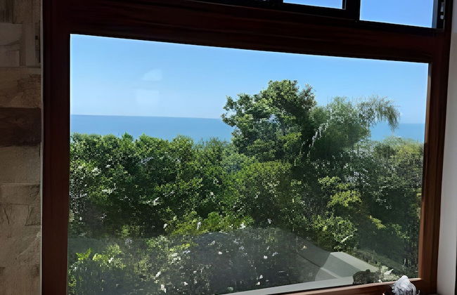 Praia do Rosa - Reserva Pilger - SC - Foto 57