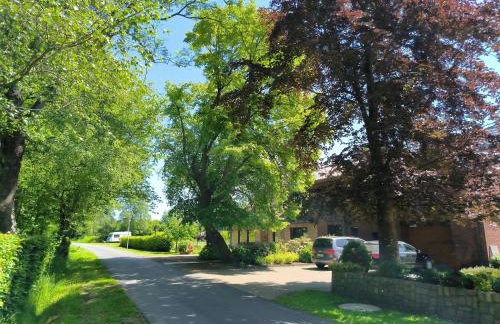 Ferienwohnung zwischen den Meeren - schöne und gemütliche FeWo mit Garten - Foto 12