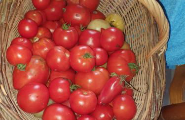 Gîte Paimpol Le Poullou - Photo 56