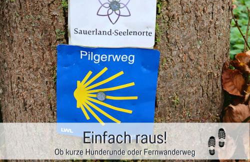 Ferienwohnung im Sauerland Hunde willkommen Kamin und Garten am Waldrand Muehls-Sauerland - Foto 56